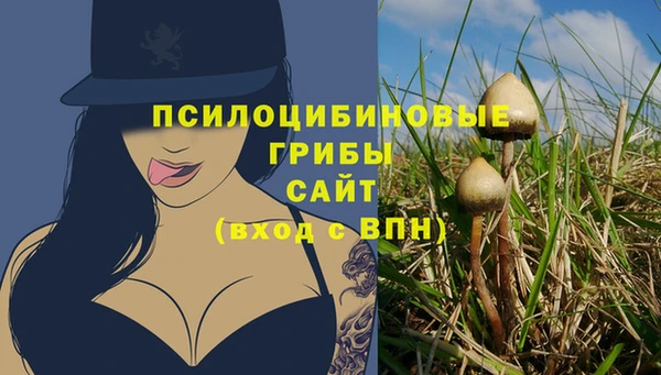 эйфоретик Бородино