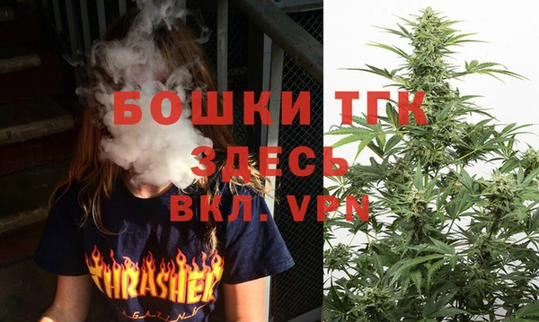 бошки Верхний Тагил